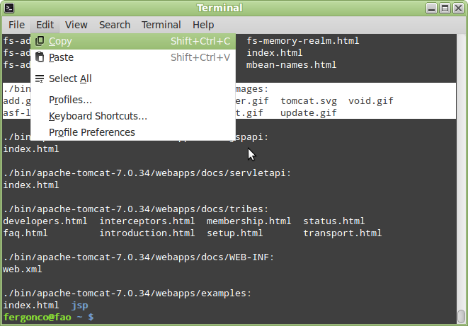 ../../_images/terminal.png